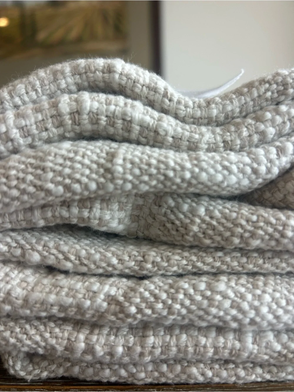 Pottery Barn Hollyn Cotton Woven Throw